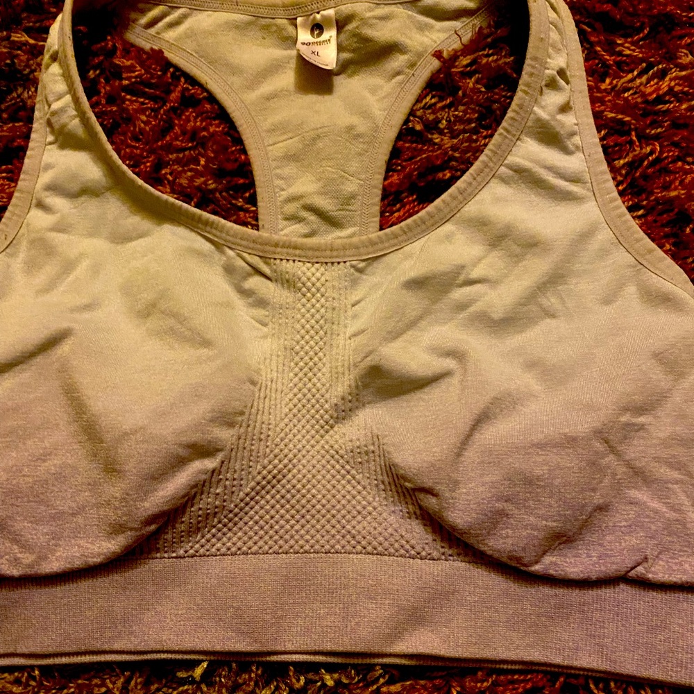 Lavender Ombré Extra Support Sports Bra